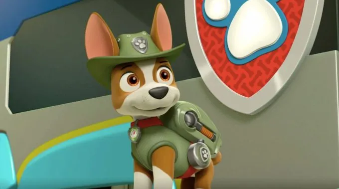 dog breeds of the paw patrol characters