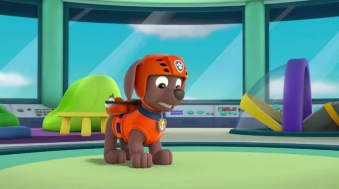 dog breeds of the paw patrol characters